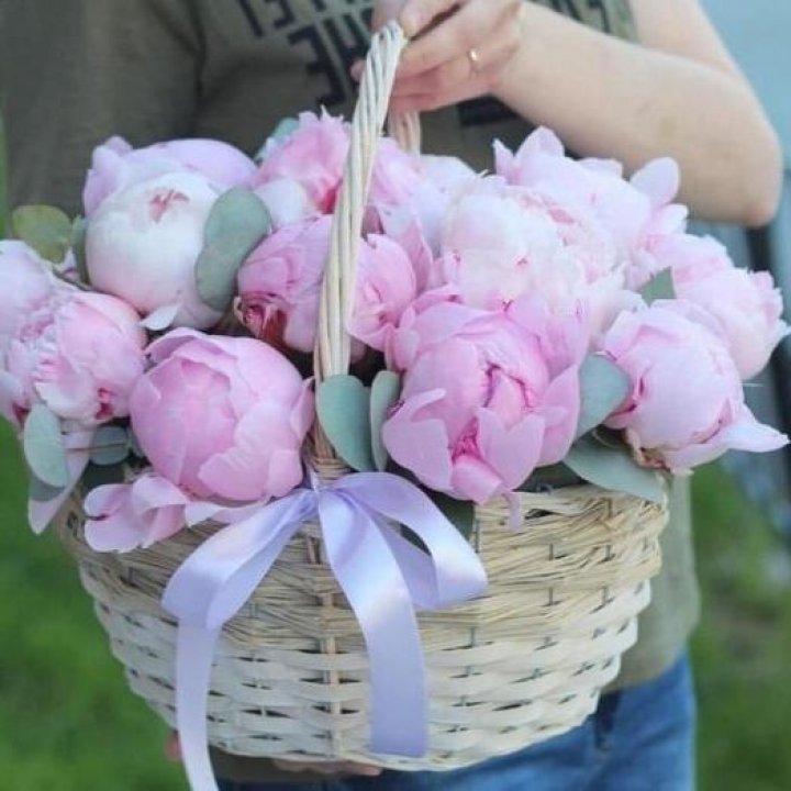 15 пионов в корзине в Балашихе