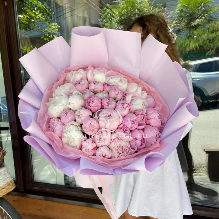 51 розовый пион в Балашихе