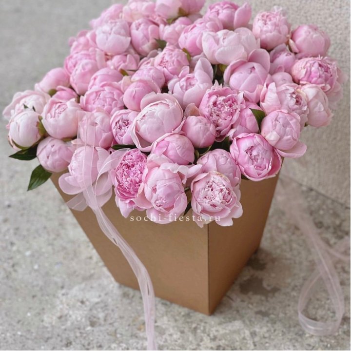 49 пионов в крафт коробке в Балашихе