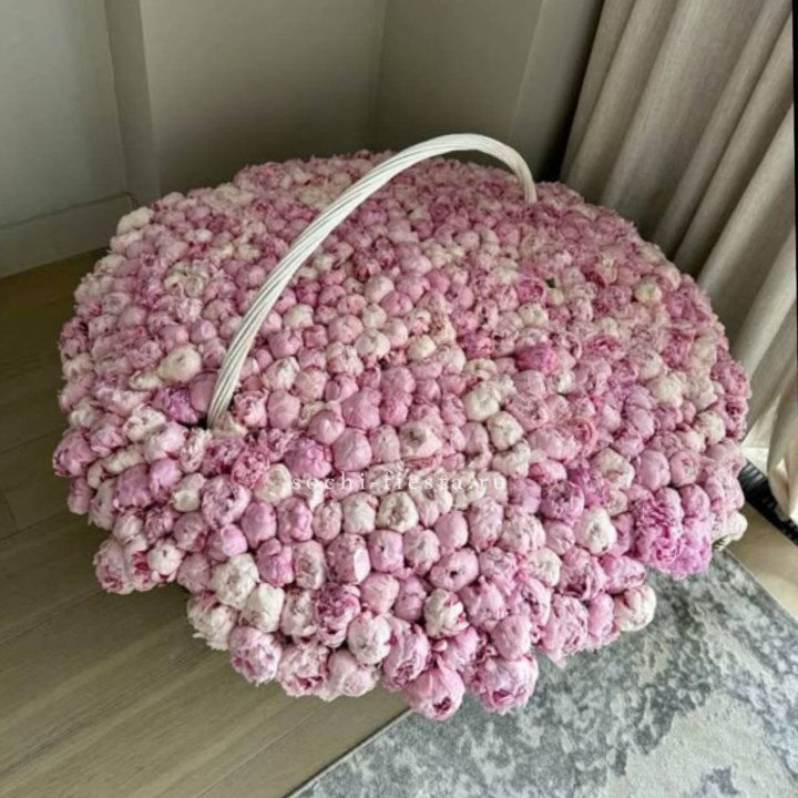 Корзина 555 пионов в Балашихе