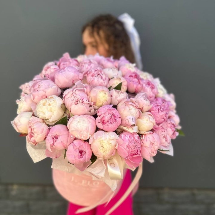 51 нежных пионов  в цилиндре в Балашихе