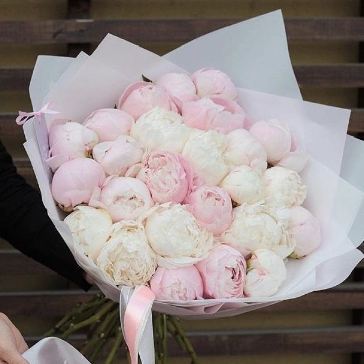 29 пионов в Балашихе