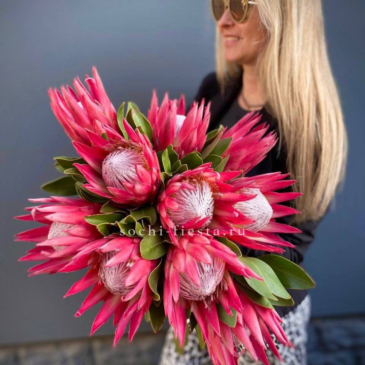 Протея штучно в Балашихе