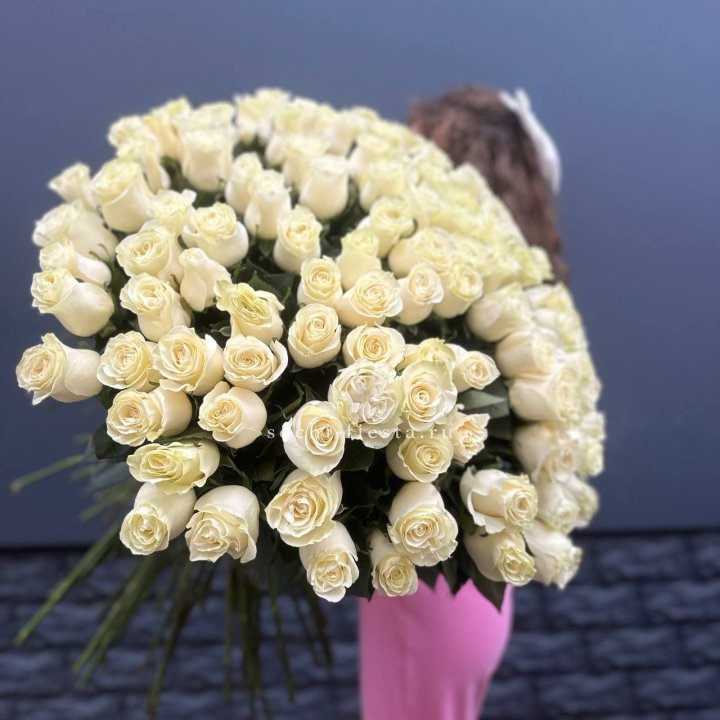 101 белая высокая импортная роза под ленту в Балашихе