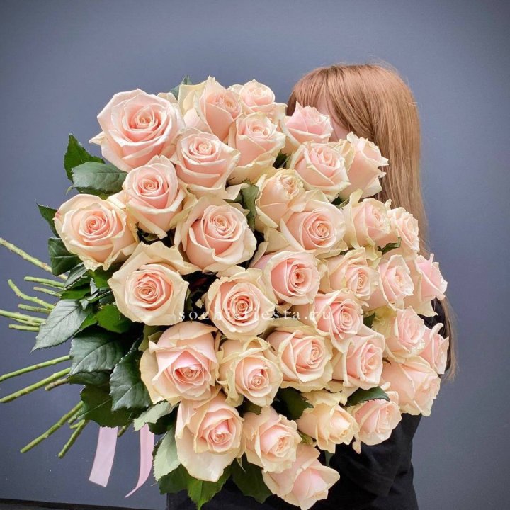 35 кремовых высоких роз в Балашихе