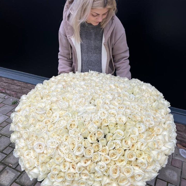 501 белая роза в корзине в Балашихе