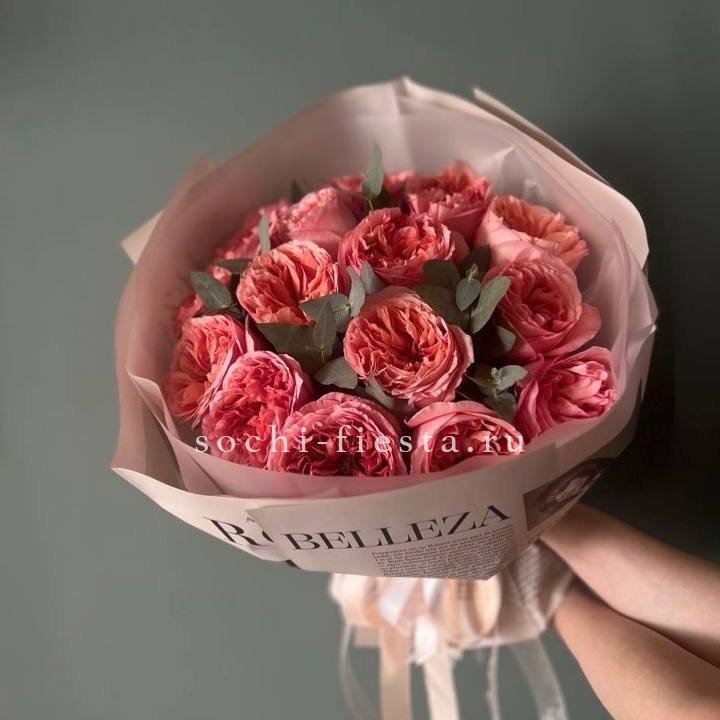 15 Пинк экспрешен в Балашихе