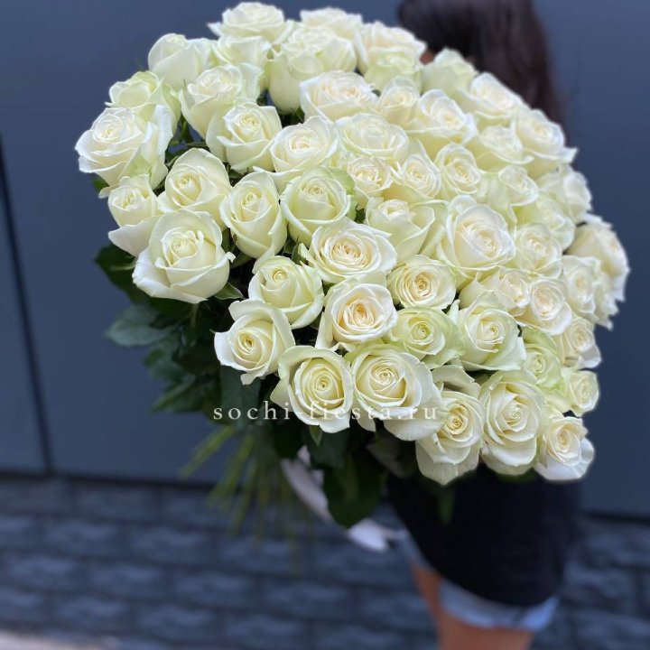 51 белоснежная высокая роза в Балашихе