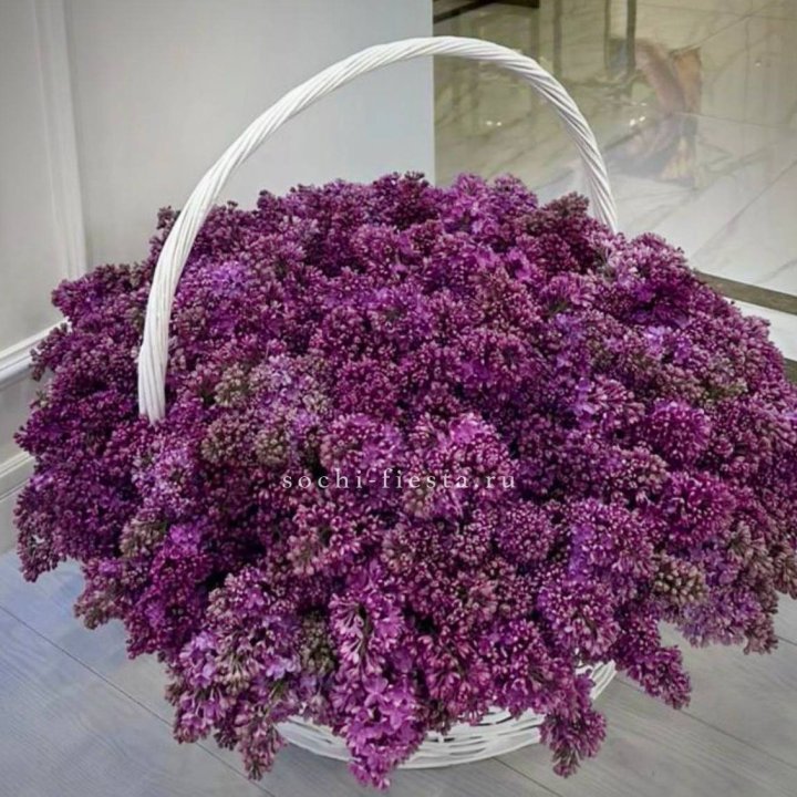 Корзина сирени в Балашихе