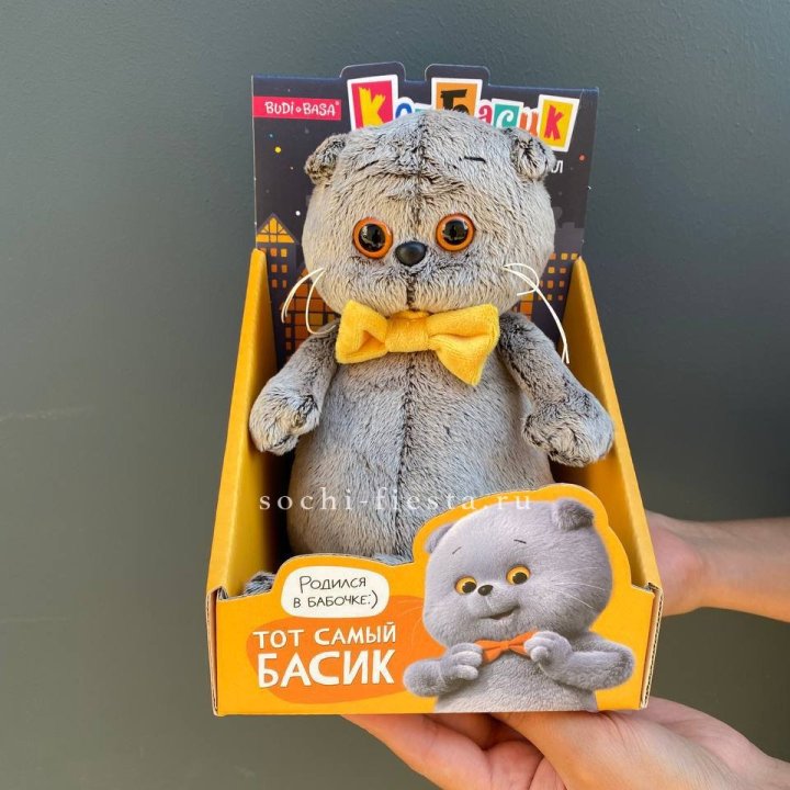 Кот Басик с бабочкой в Балашихе