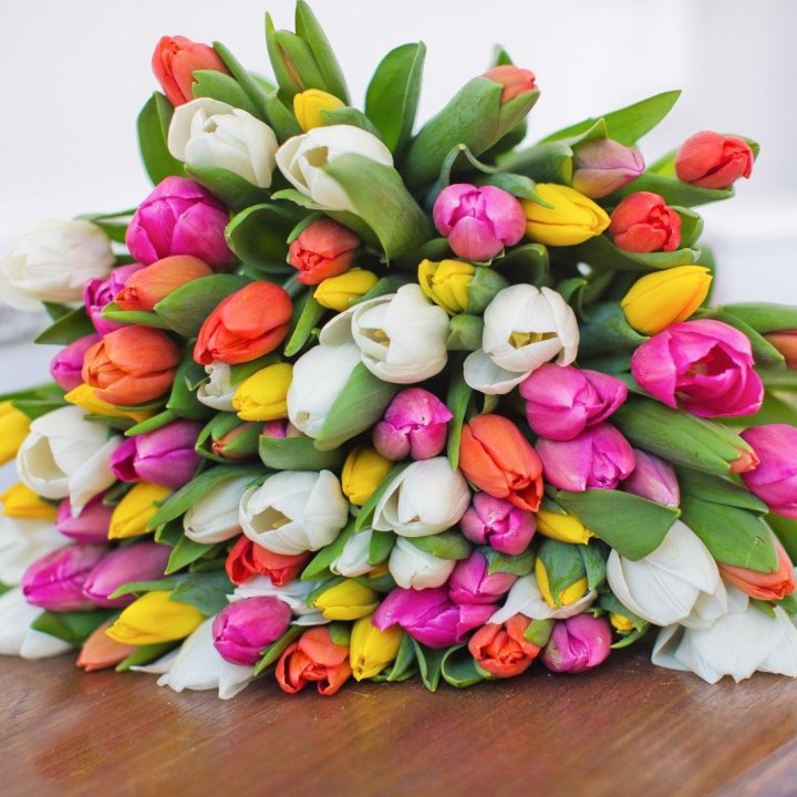 79 тюльпанов "Рандом" в Балашихе