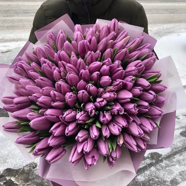 101 сиреневый тюльпан в Балашихе