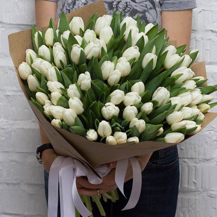 101 тюльпан сноу в Балашихе