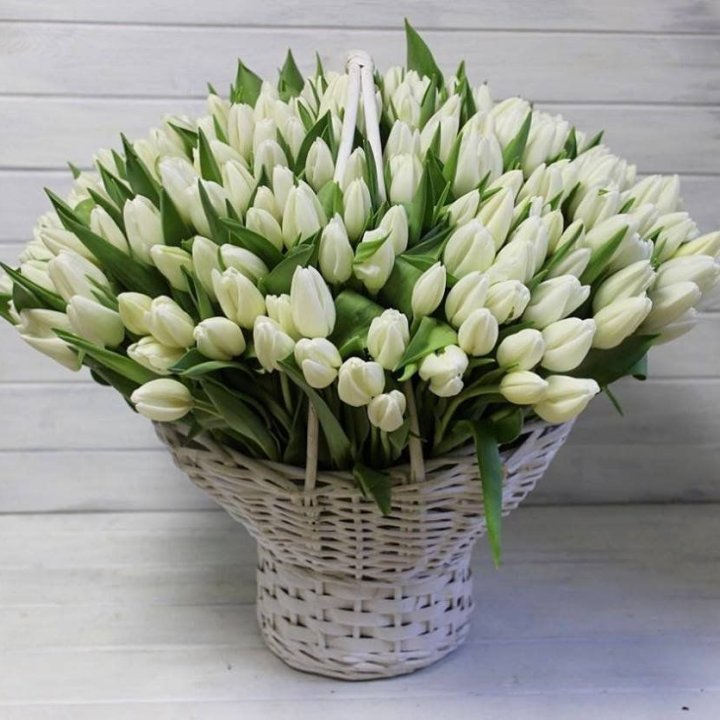 Корзина из 151 тюльпана в Балашихе