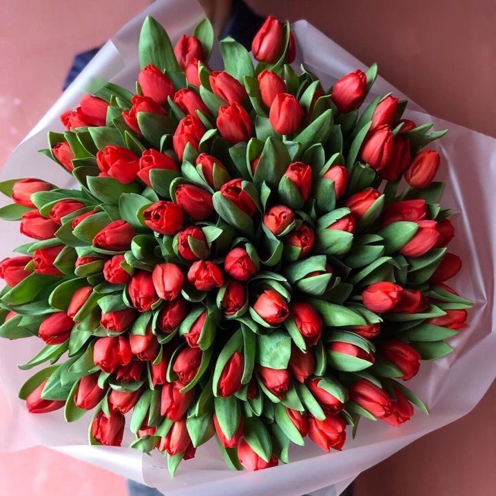 101 красный тюльпан в Балашихе